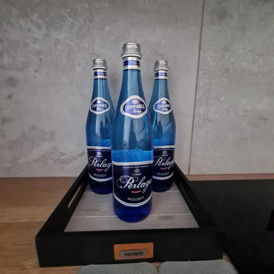 Mieszkanie W Nowoczesnym Halo Apartament W Centrum Wroclaw Ngoại thất bức ảnh